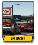 LFS and iracing nline racing